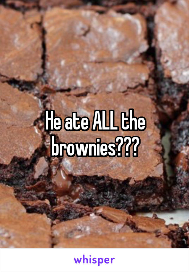 He ate ALL the brownies???