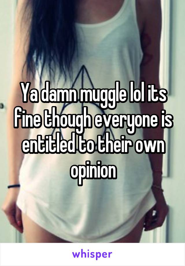 Ya damn muggle lol its fine though everyone is entitled to their own opinion