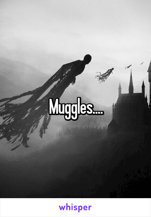 Muggles....