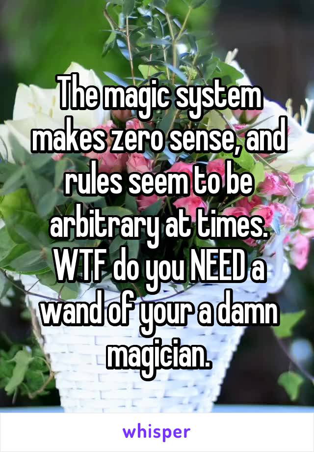 The magic system makes zero sense, and rules seem to be arbitrary at times. WTF do you NEED a wand of your a damn magician.