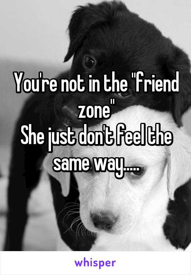 You're not in the "friend zone"
She just don't feel the same way.....
