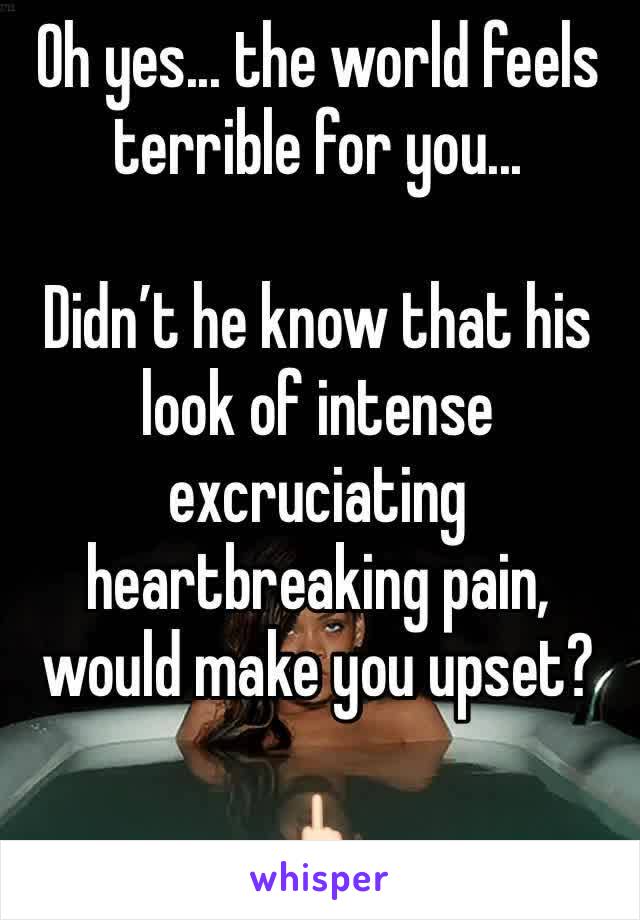 Oh yes... the world feels terrible for you...

Didn’t he know that his look of intense excruciating heartbreaking pain, would make you upset?

🖕🏻