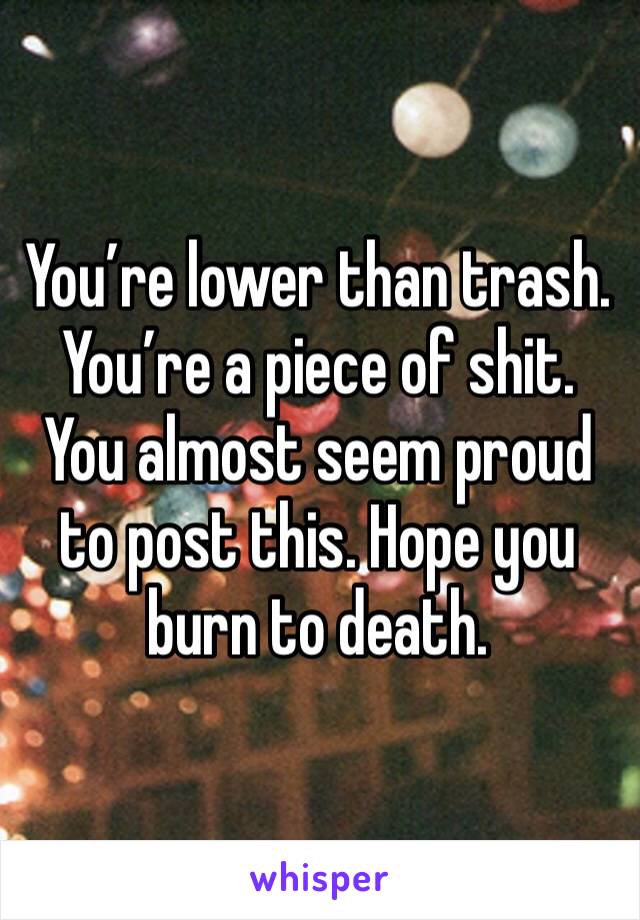 You’re lower than trash. You’re a piece of shit. You almost seem proud to post this. Hope you burn to death.