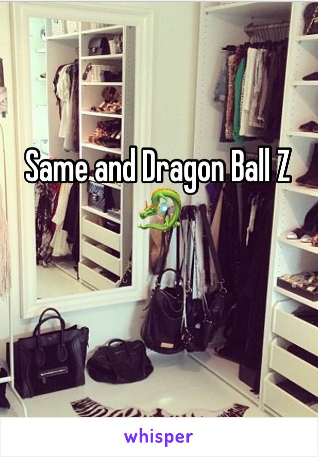 Same and Dragon Ball Z 🐉