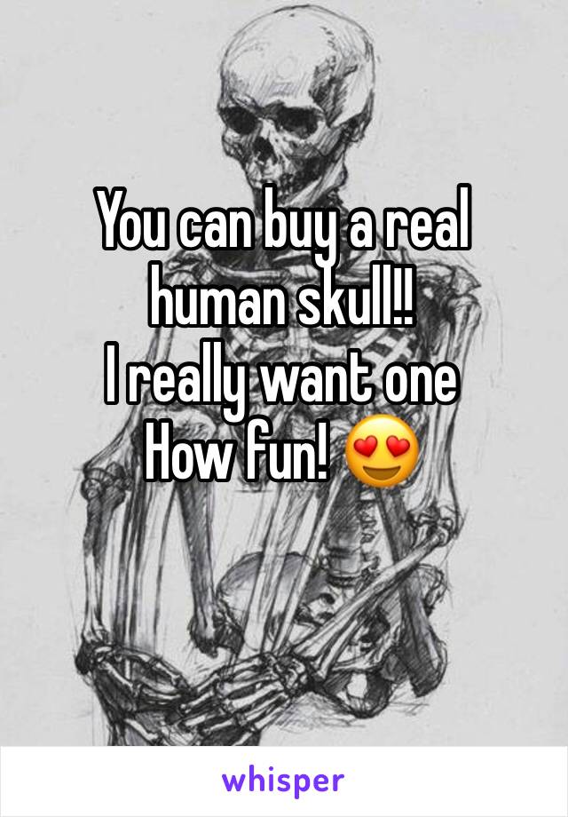 You can buy a real human skull!!
I really want one 
How fun! 😍