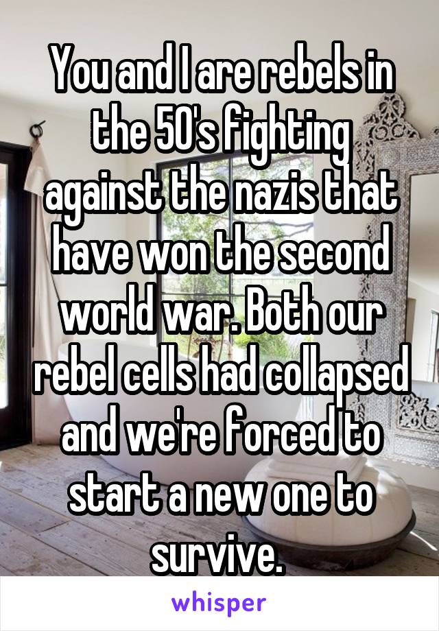 You and I are rebels in the 50's fighting against the nazis that have won the second world war. Both our rebel cells had collapsed and we're forced to start a new one to survive. 