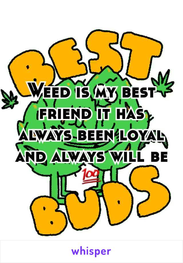 Weed is my best friend it has always been loyal and always will be 💯