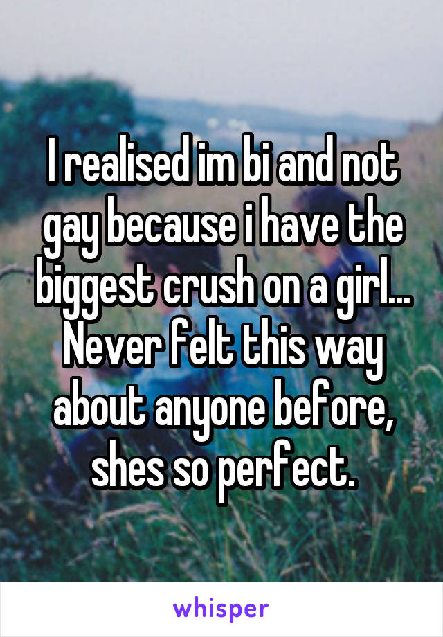 I realised im bi and not gay because i have the biggest crush on a girl...
Never felt this way about anyone before, shes so perfect.