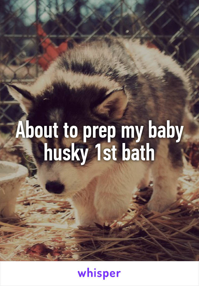 About to prep my baby husky 1st bath