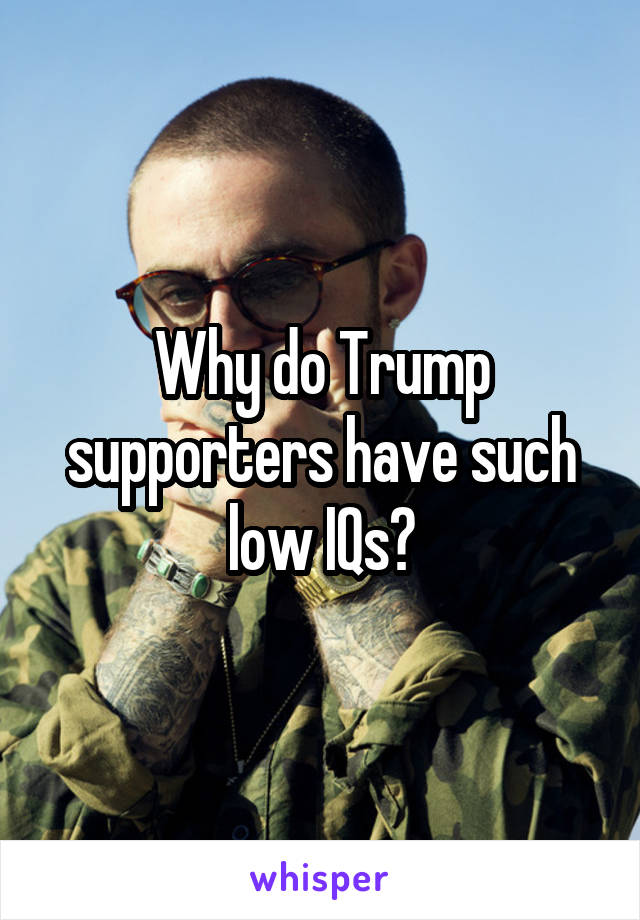 Why do Trump supporters have such low IQs?