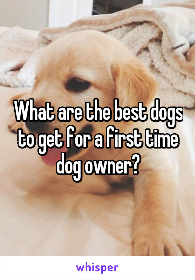 What are the best dogs to get for a first time dog owner?