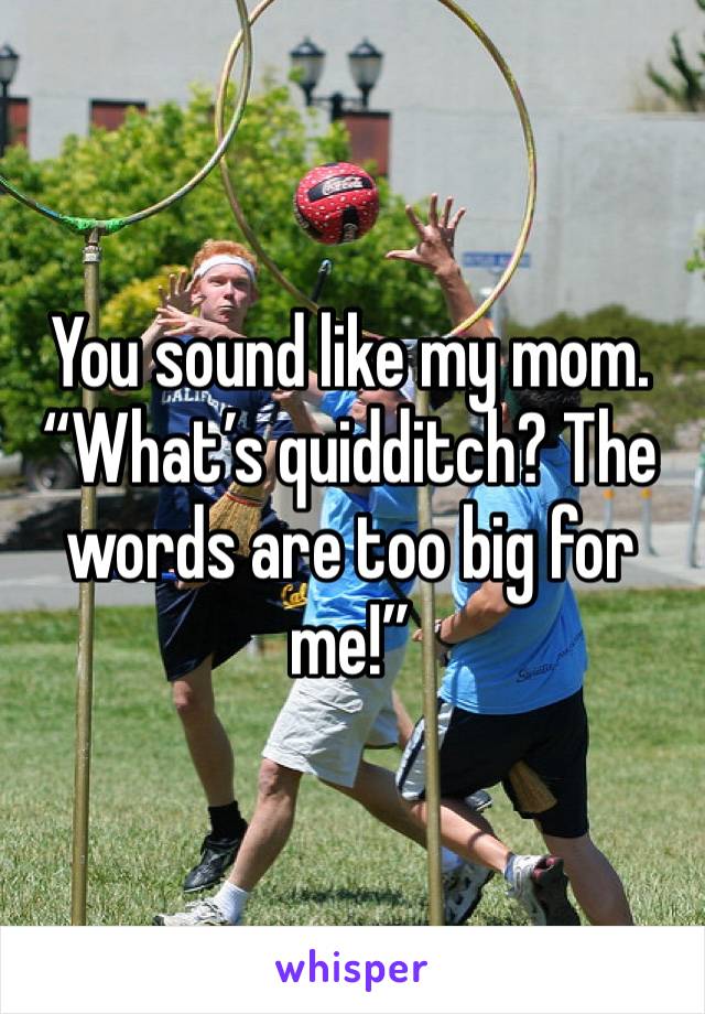 You sound like my mom. “What’s quidditch? The words are too big for me!”