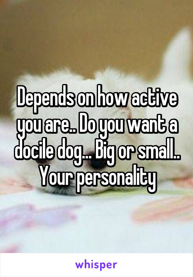 Depends on how active you are.. Do you want a docile dog... Big or small.. Your personality