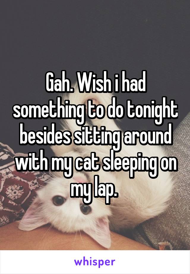 Gah. Wish i had something to do tonight besides sitting around with my cat sleeping on my lap. 