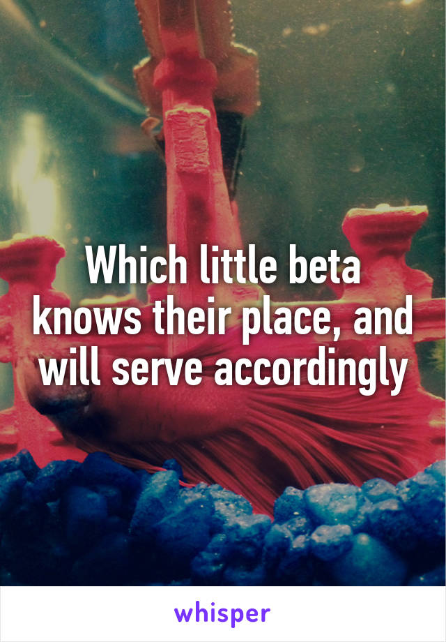 Which little beta knows their place, and will serve accordingly