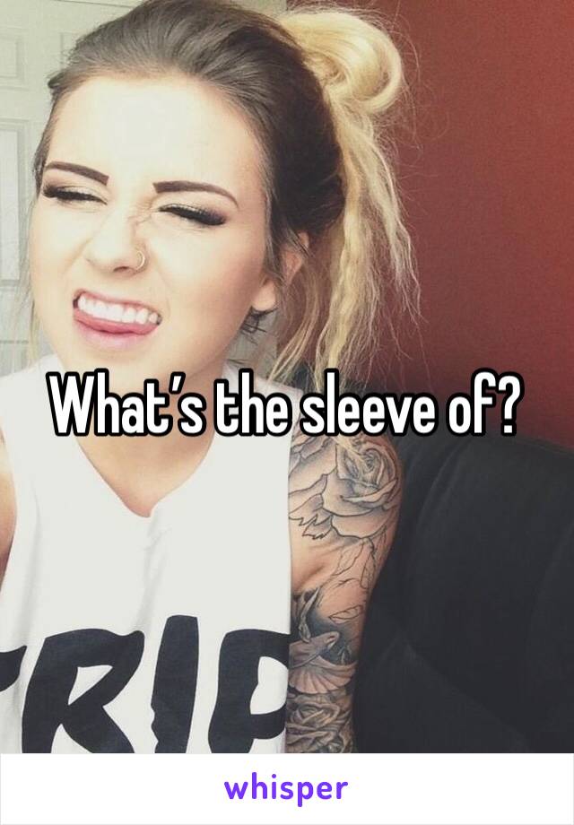 What’s the sleeve of?