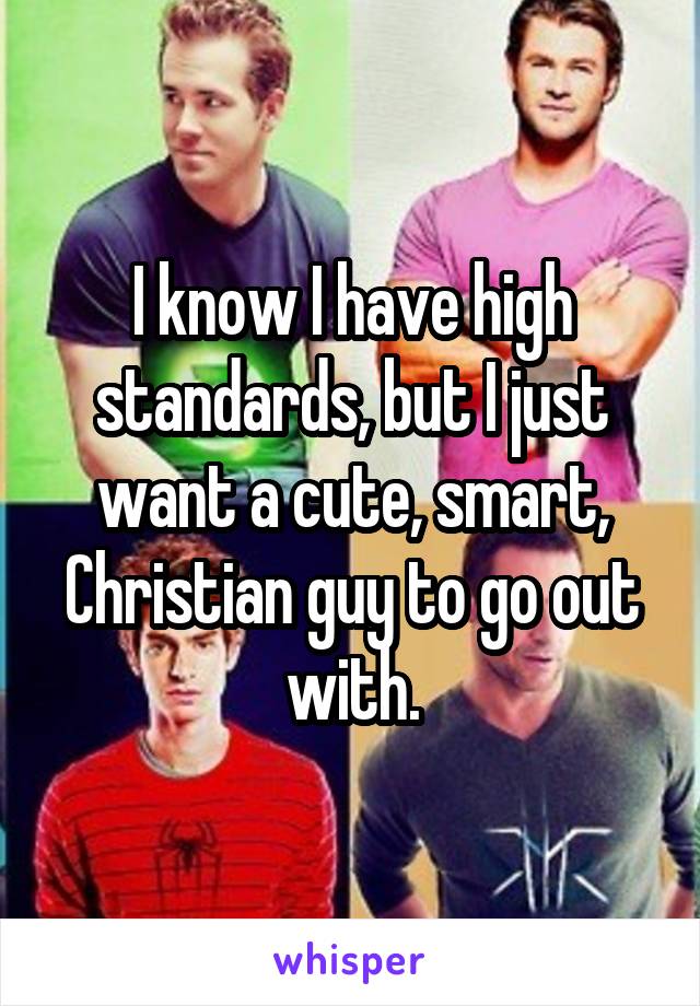 I know I have high standards, but I just want a cute, smart, Christian guy to go out with.
