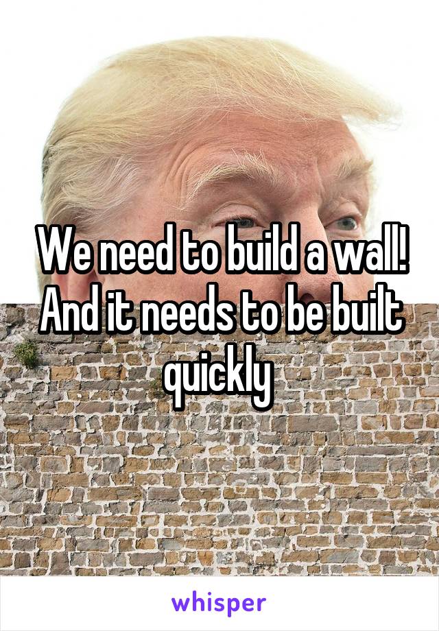 We need to build a wall! And it needs to be built quickly 