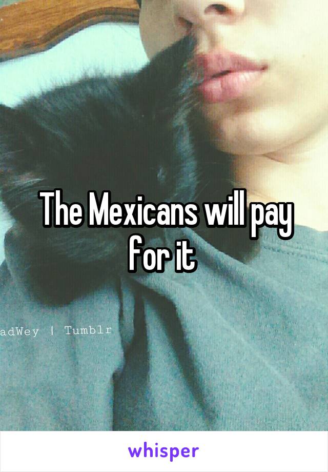 The Mexicans will pay for it 