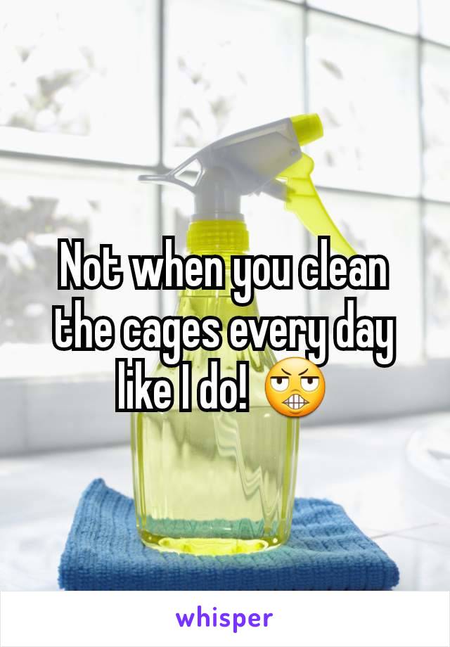 Not when you clean the cages every day like I do! 😬