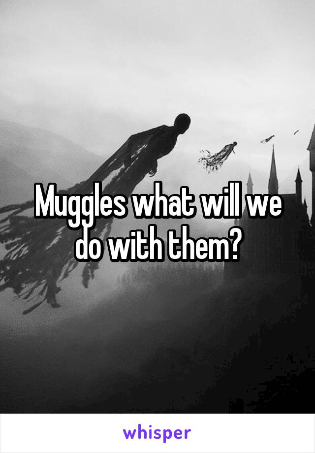 Muggles what will we do with them?