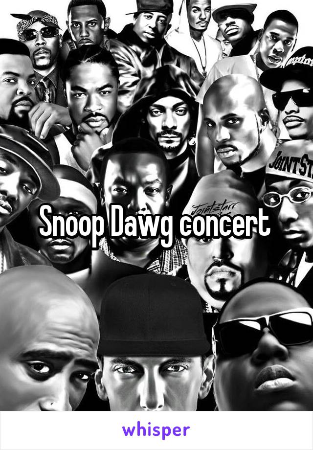 Snoop Dawg concert 