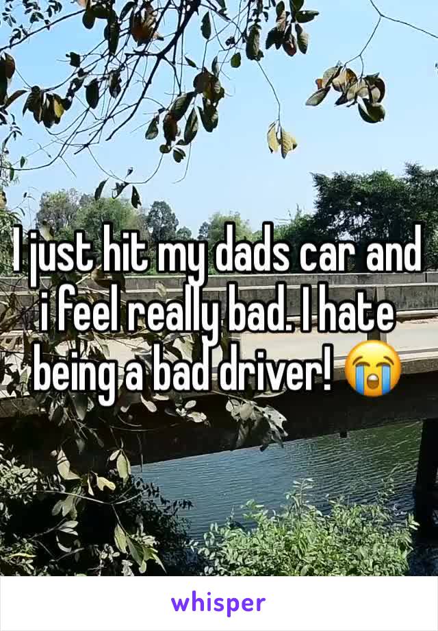 I just hit my dads car and i feel really bad. I hate being a bad driver! 😭