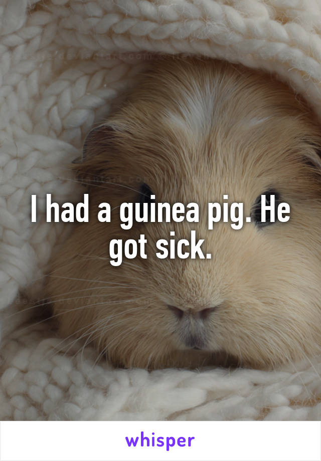 I had a guinea pig. He got sick.