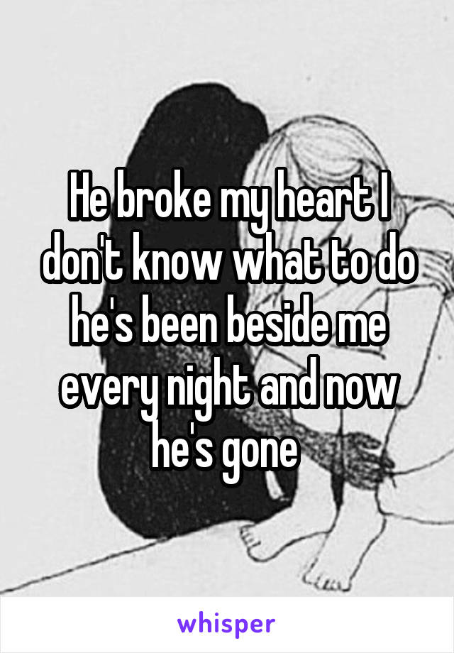 He broke my heart I don't know what to do he's been beside me every night and now he's gone 