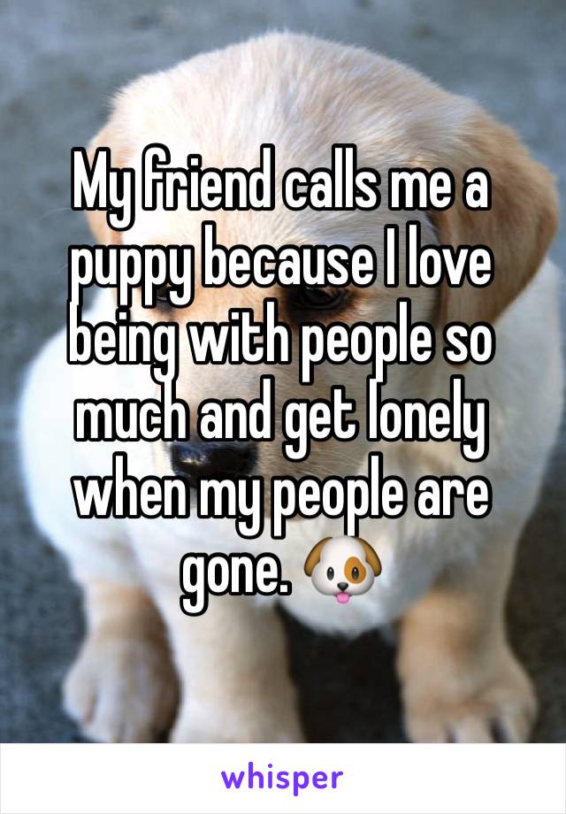 My friend calls me a puppy because I love being with people so much and get lonely when my people are gone. 🐶 