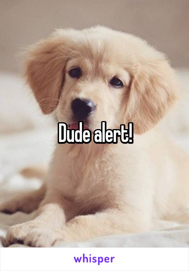 Dude alert!