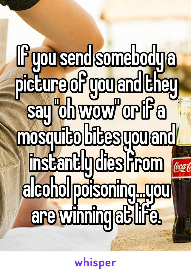 If you send somebody a picture of you and they say "oh wow" or if a mosquito bites you and instantly dies from alcohol poisoning...you are winning at life.