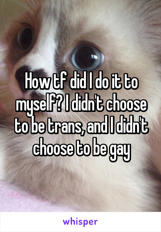 How tf did I do it to myself? I didn't choose to be trans, and I didn't choose to be gay