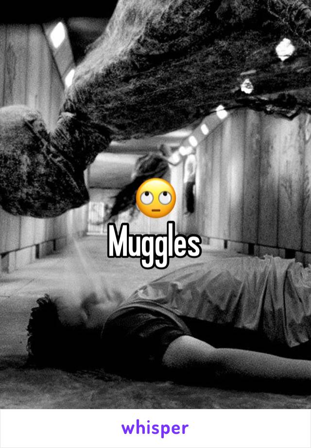 🙄
Muggles