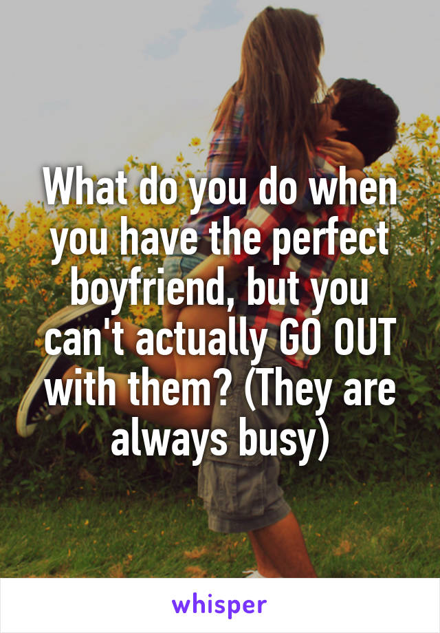 What do you do when you have the perfect boyfriend, but you can't actually GO OUT with them? (They are always busy)