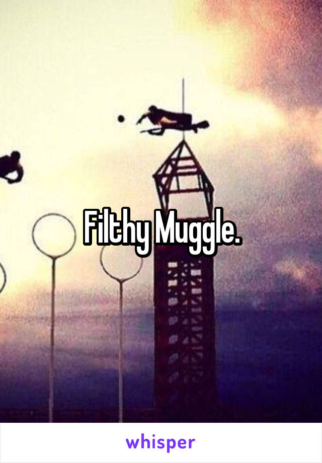 Filthy Muggle.