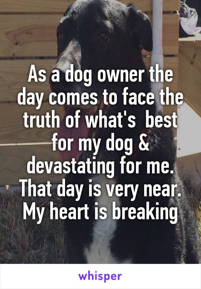 As a dog owner the day comes to face the truth of what's  best for my dog & devastating for me. That day is very near. My heart is breaking