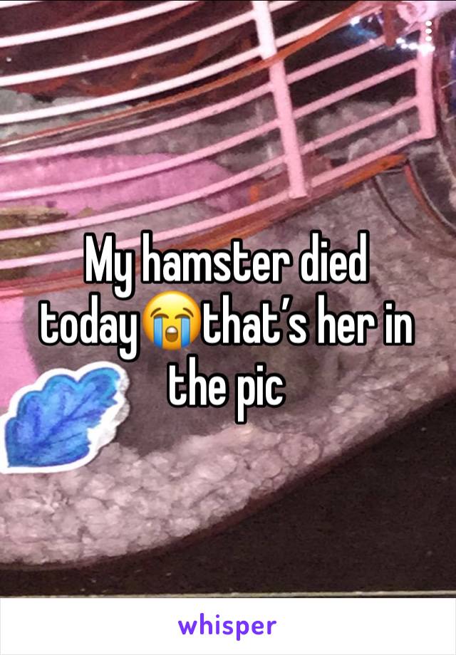 My hamster died today😭that’s her in the pic