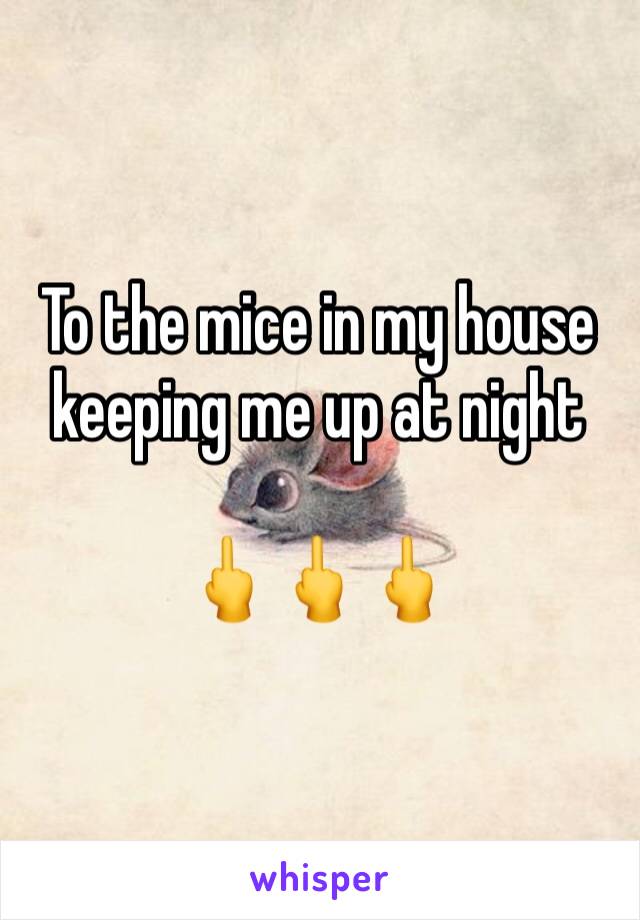 To the mice in my house keeping me up at night 

🖕🖕🖕