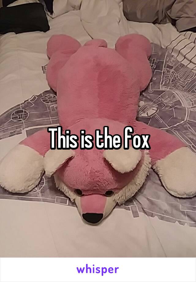 This is the fox