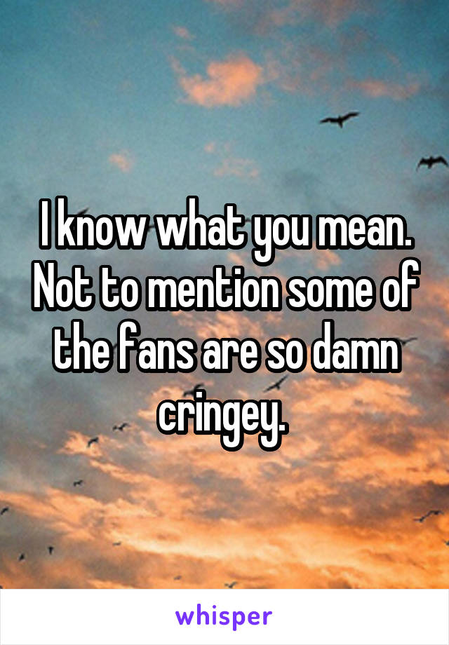 I know what you mean. Not to mention some of the fans are so damn cringey. 