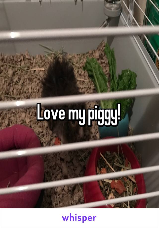 Love my piggy! 