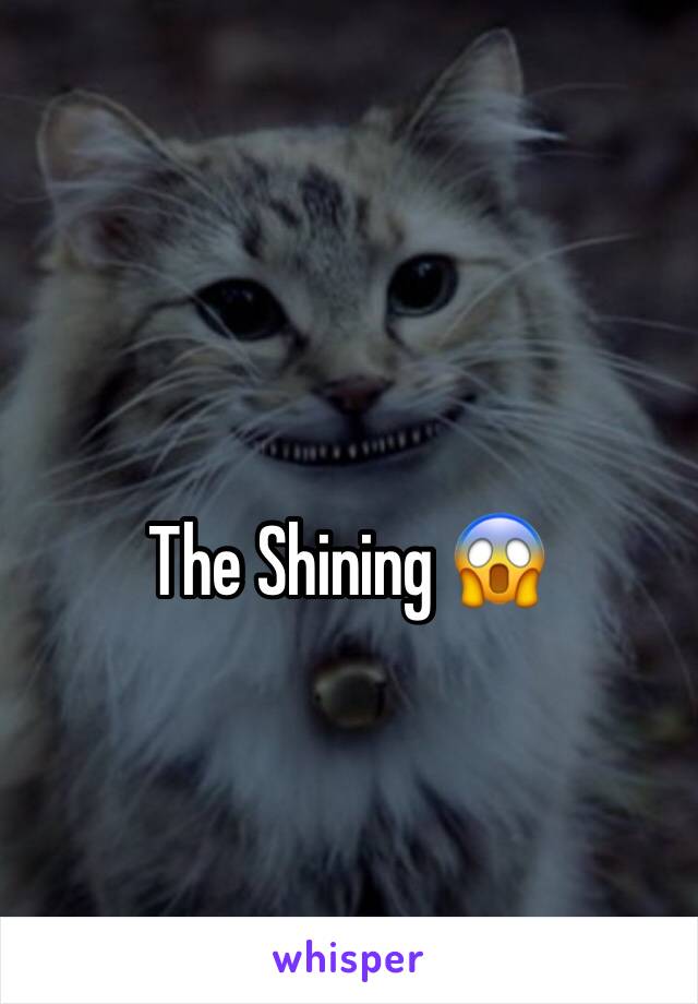 The Shining 😱