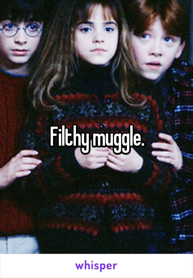 Filthy muggle.