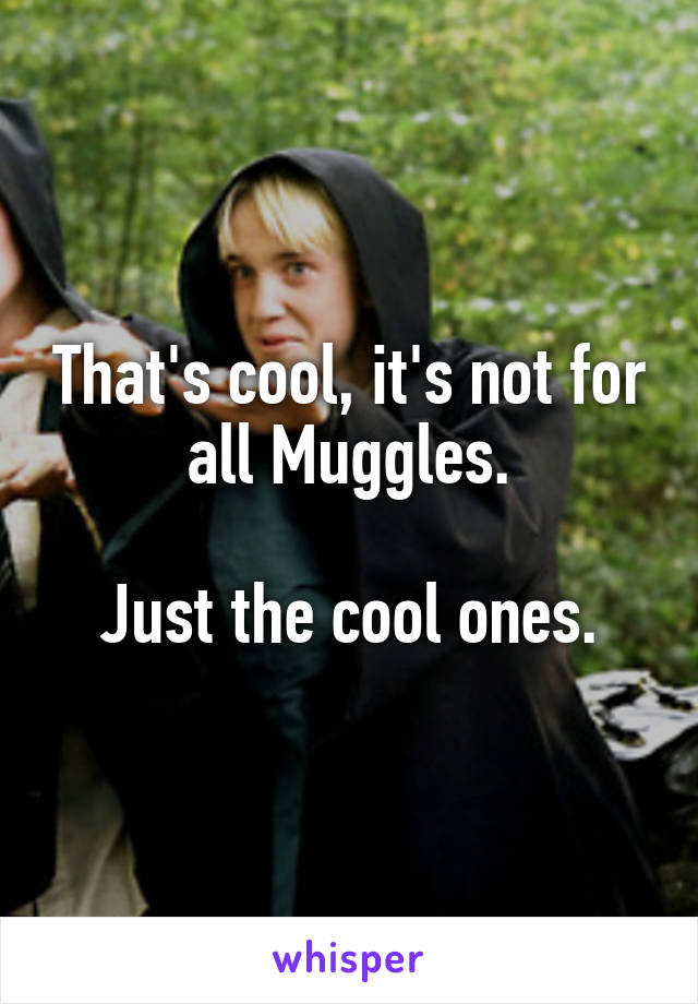 That's cool, it's not for all Muggles.

Just the cool ones.