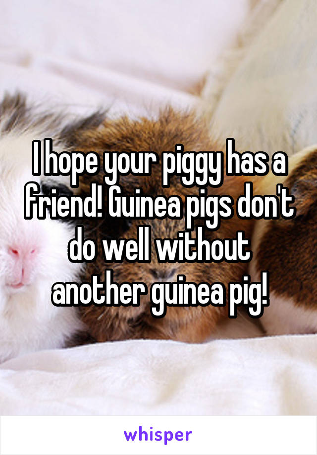 I hope your piggy has a friend! Guinea pigs don't do well without another guinea pig!