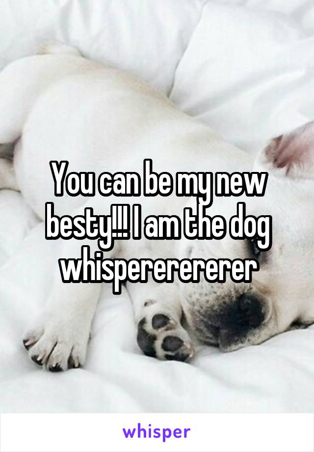 You can be my new besty!!! I am the dog whispererererer