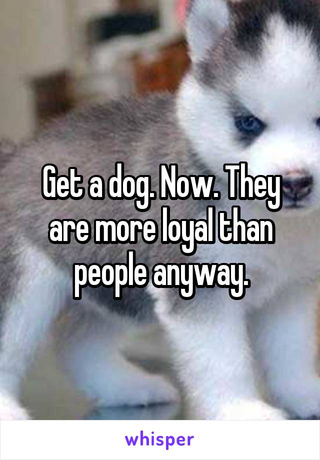 Get a dog. Now. They are more loyal than people anyway.