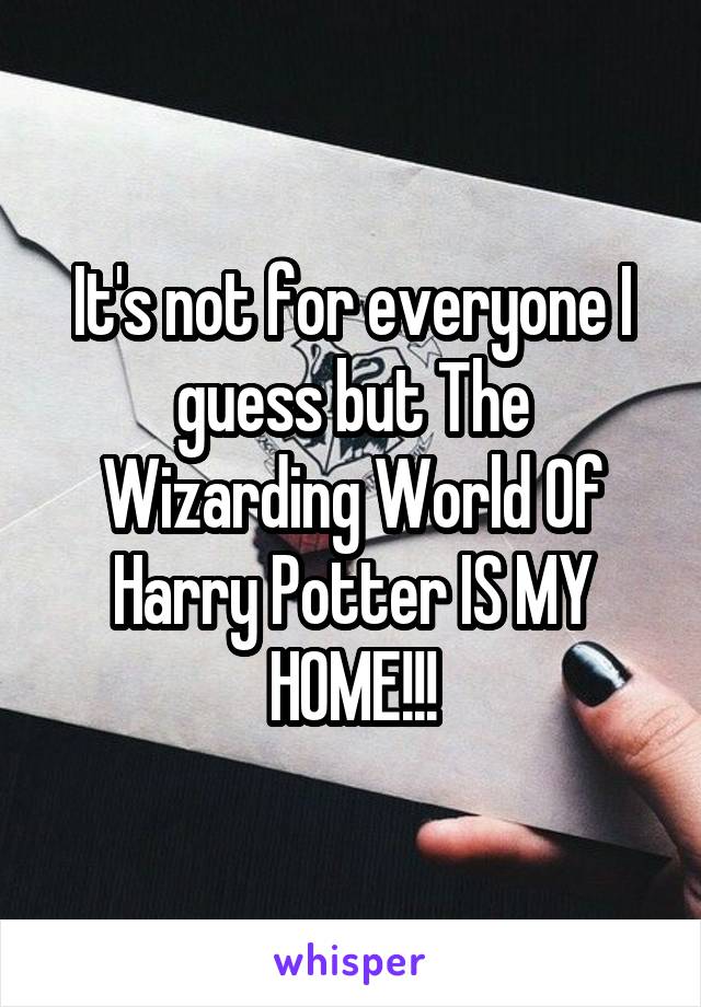 It's not for everyone I guess but The Wizarding World Of Harry Potter IS MY HOME!!!