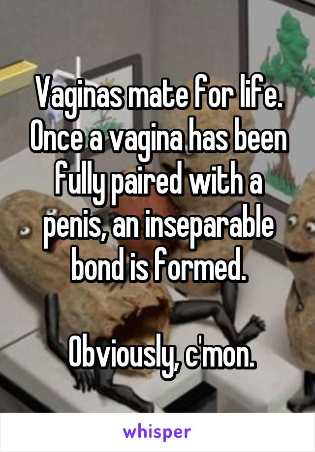 Vaginas mate for life. Once a vagina has been fully paired with a penis, an inseparable bond is formed.

 Obviously, c'mon.